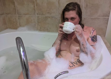 brainwashedpet star adult pics