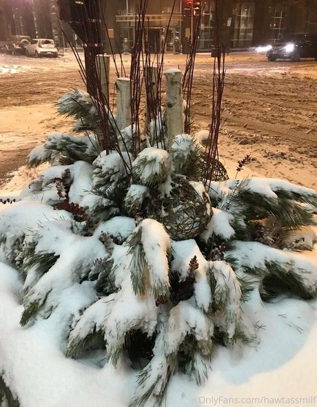 pawg xxx onlyfans free sexy pic