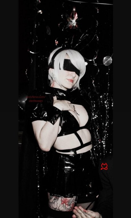 dantesaan star nice galleries