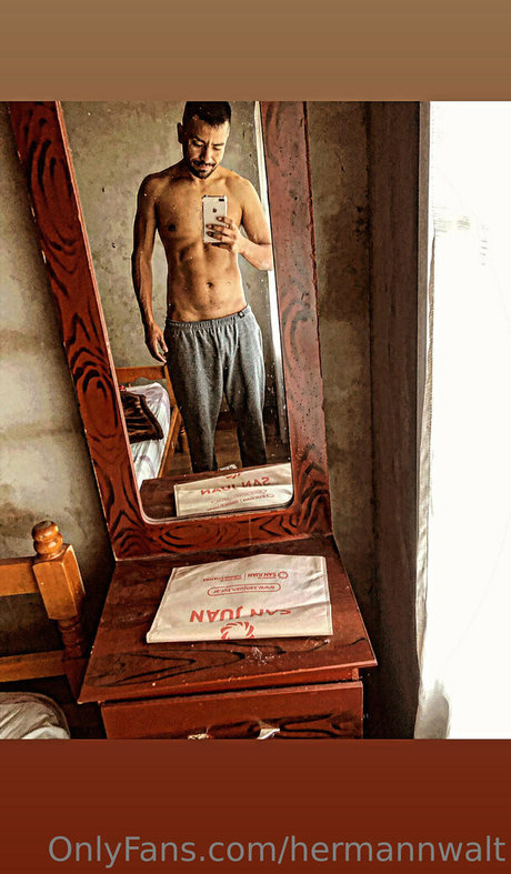 hermannwalt hot pornstar img