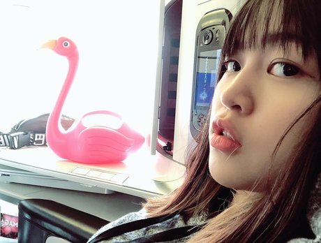 rinlinlin nice model galleries