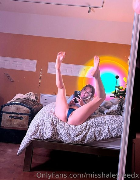 misshaleyreedx nice pornstar pic