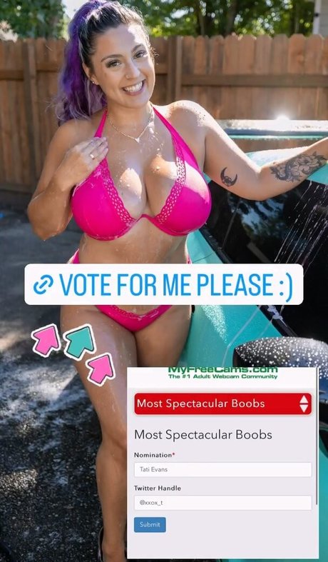 Stormy Daniels pornographic model picture