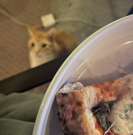 busty ebony onlyfans hot nude pic