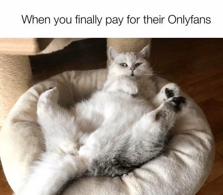 mama is naughtyfree star pretty picture