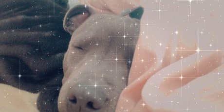 roxikeogh star adult photos