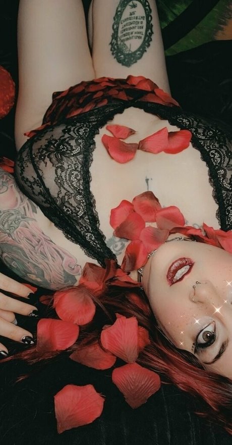 paradox 5683 sexy model archive