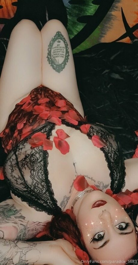 paradox 5683 model top images