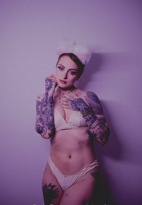 stephenvoyce pornstar high quality picture