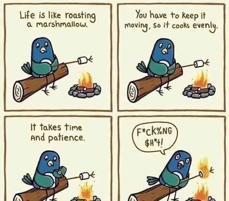 taylorpayn free actress picture