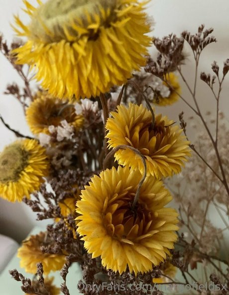 margofieldsx porn star image