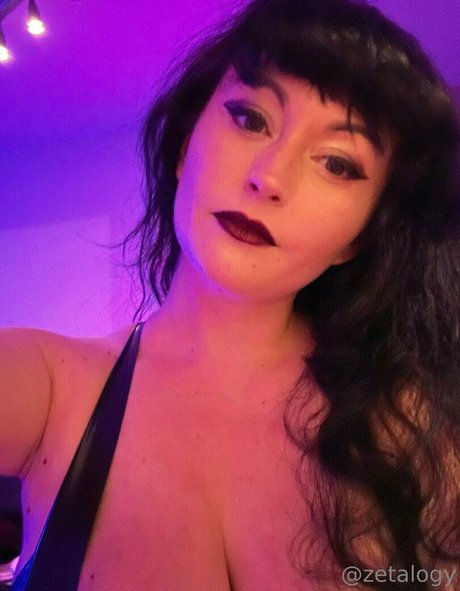 payzeta nice model gallery