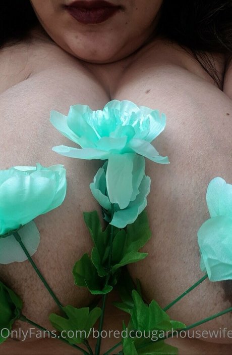 boredcougarhousewife porn star pics