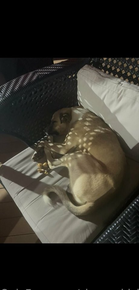 sleepychick11 sex model galleries