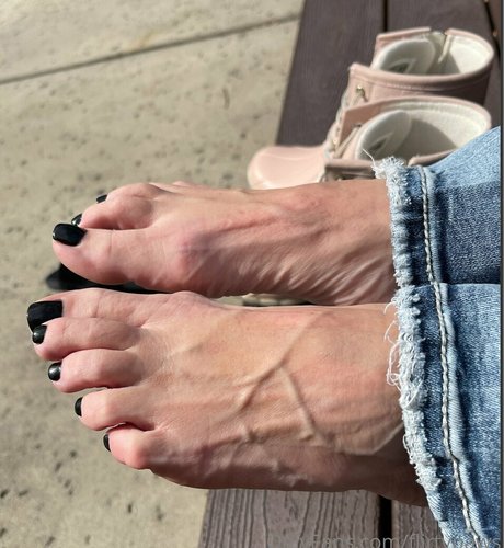 flirtypaws nice pornstar galleries