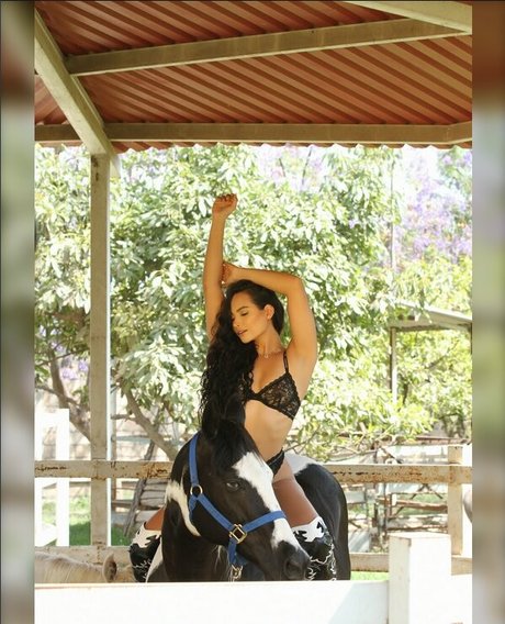 Kandy Alejandra pretty pornstar picture