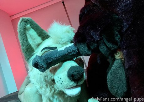 angel pups hd actress image