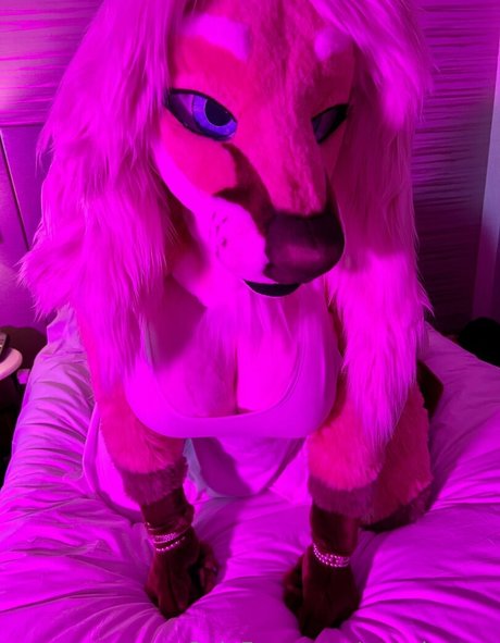 angel pups model best pic