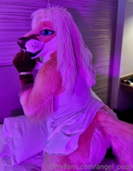 angel pups exclusive star archive