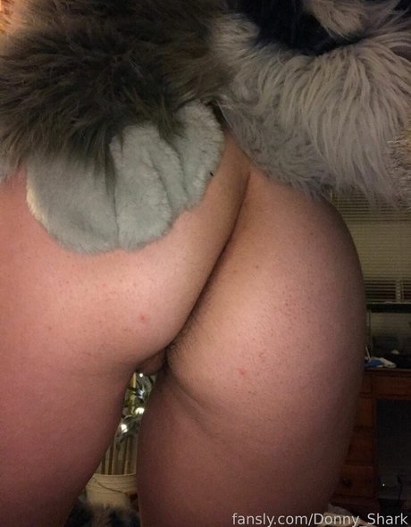 Donny Shark top star photo