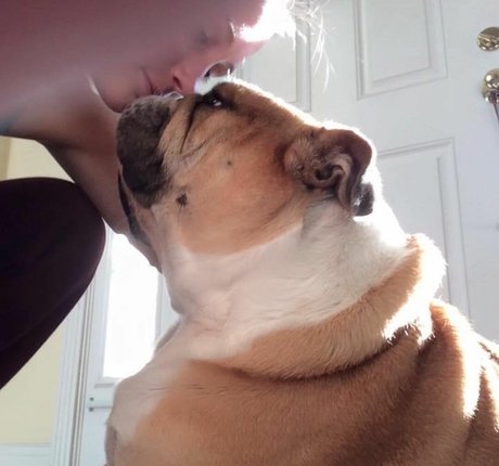 Courtney Craib model best photo