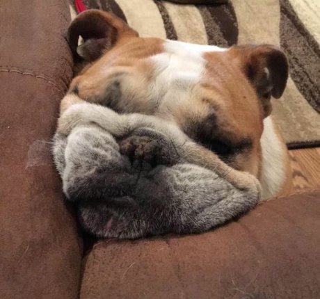 Courtney Craib pornstar best pic