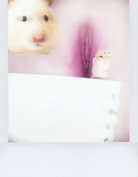 asian twink onlyfans sexy naked gallery