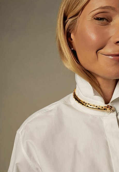 Gwyneth Paltrow nude model archive