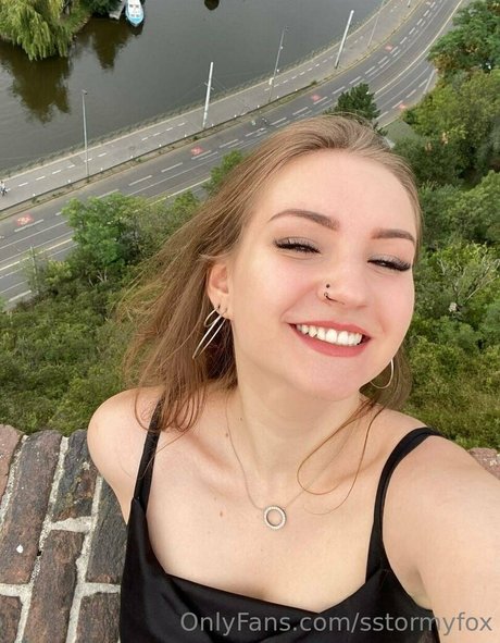 sstormyfox art pornstar image