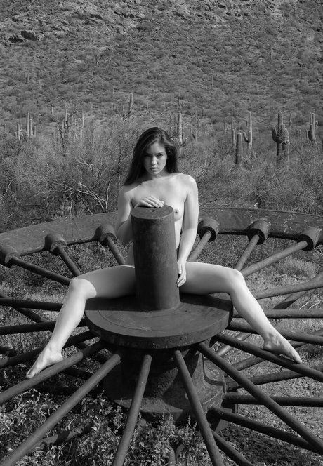 tomcat photography naked actress picture