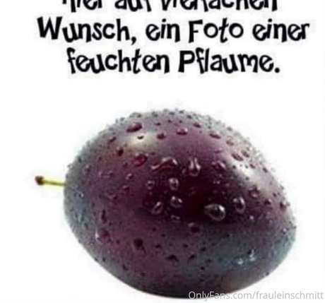 frauleinschmittfree pornstar naked pictures