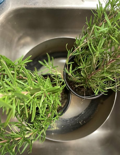 black bbw onlyfans art naked archive