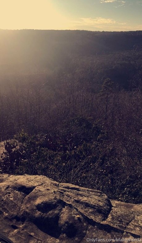 malloypanda star pretty pictures