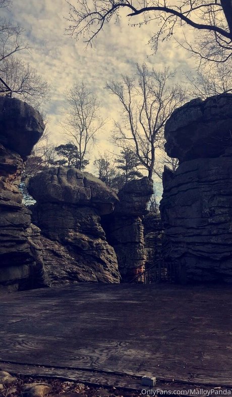 malloypanda model hot galleries