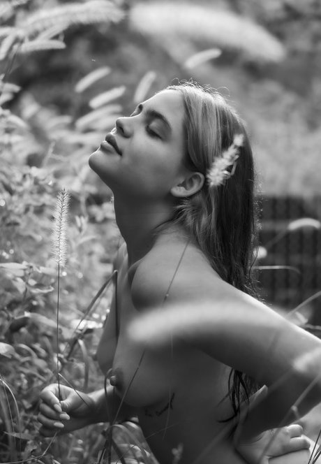 marianatureza69 beautiful star pic