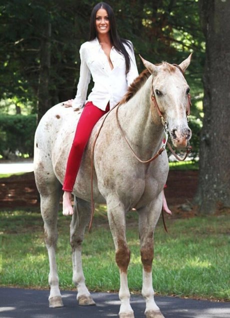 Courtney O Connell star top img