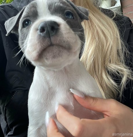 asmrjanina star pretty pics