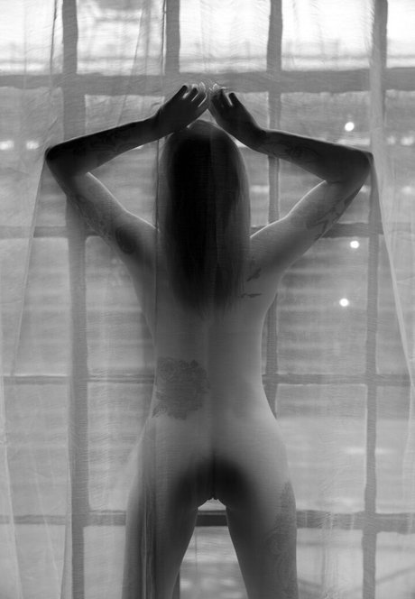 itsfreetorro adult actress pic