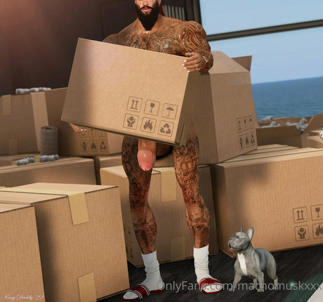 machomuskxxx pornstar beautiful photos