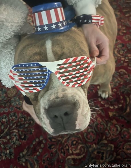 tallielorain star pretty photo