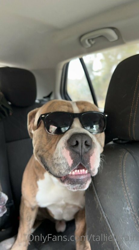 tallielorain sexy actress image