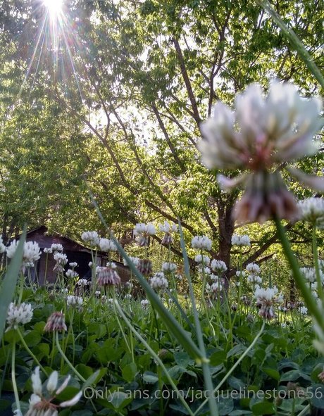 jacquelinestone56 model img