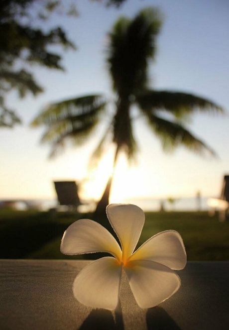 mature squirt onlyfans hot galleries