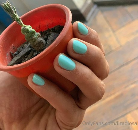 lizadiosa Profile pic