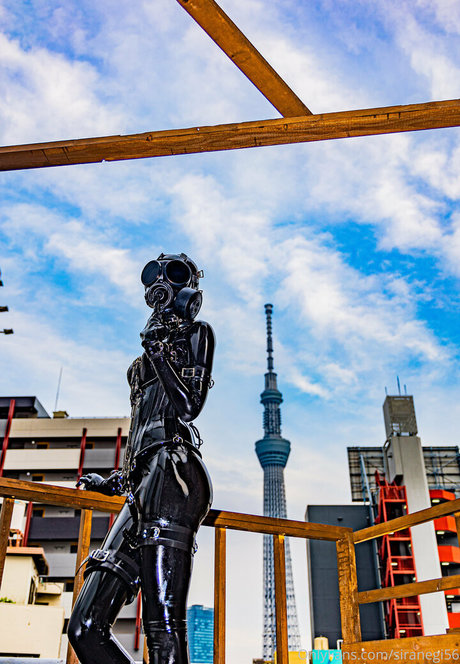 siranegi56 erotic actress photo