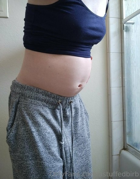 astuffedbirb pornographic actress img