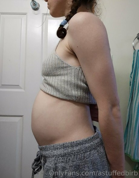 astuffedbirb art model gallery