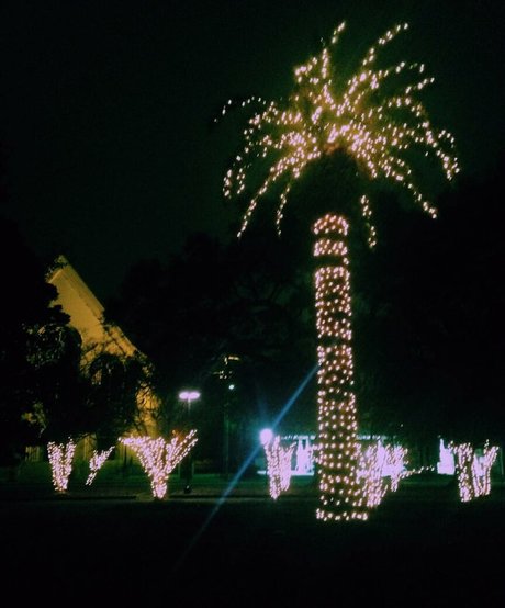 crossdresser onlyfans hot xxx pictures