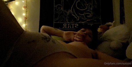 sussosii Quick model image