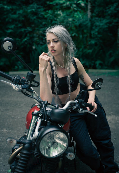 Farbenfuchs star hot img